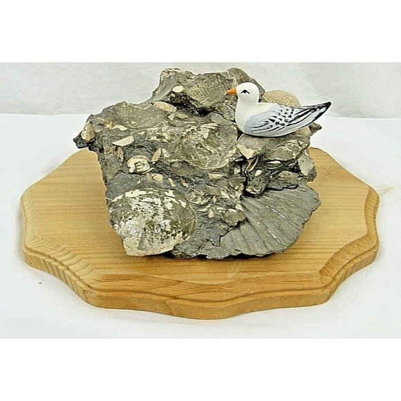 Seagull on Seashell Fossil Rock Wood Base Figure - Picture 1 of 9